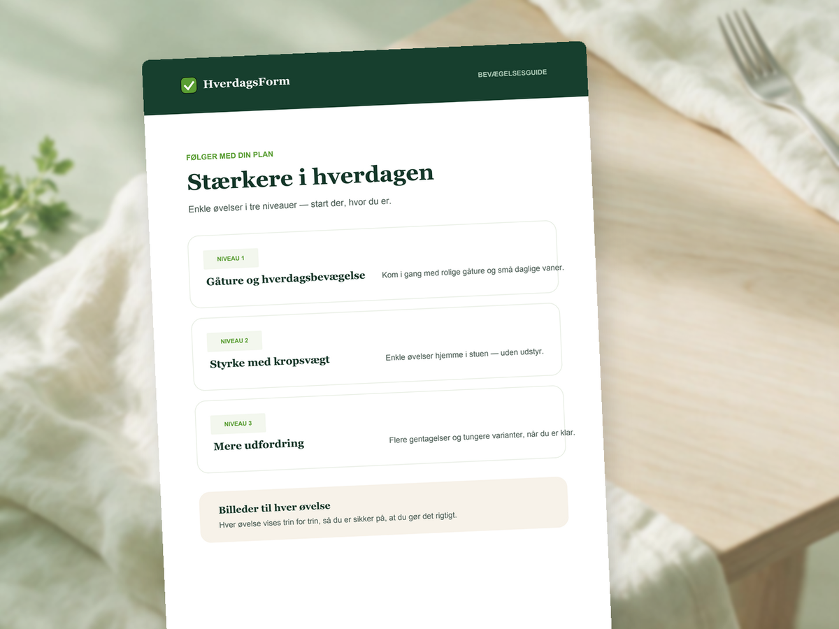 Eksempel fra bevægelsesguiden i tre niveauer